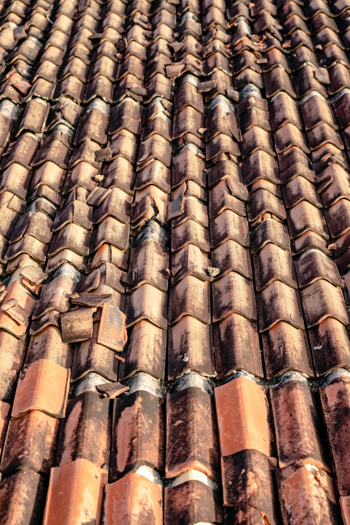 Close-up of broken and displaced clay roof tiles